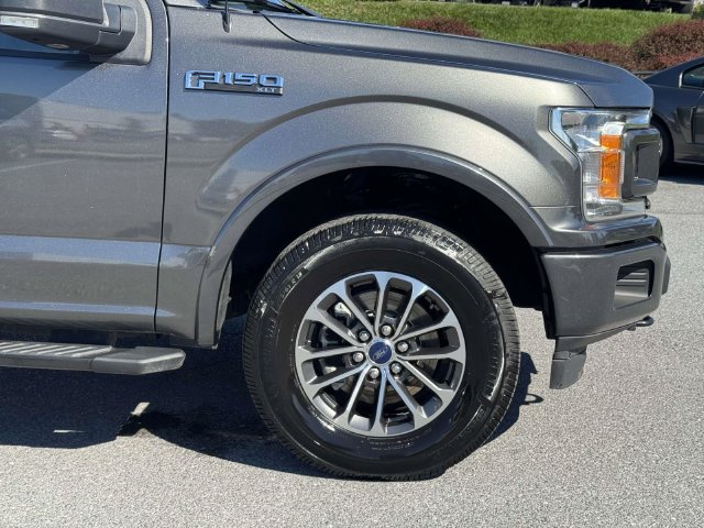 Used 2019 Ford F150 XLT w/ Equipment Group 302A Luxury AWD/4WD image 8