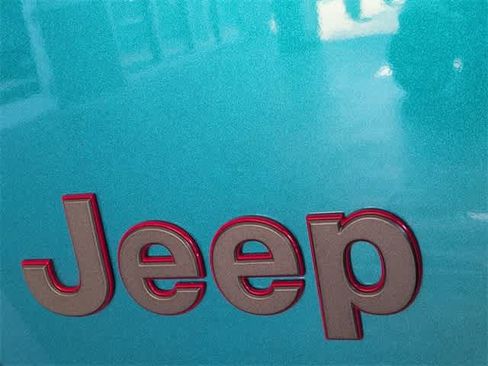 Used 2020 Jeep Wrangler Unlimited Rubicon image 12