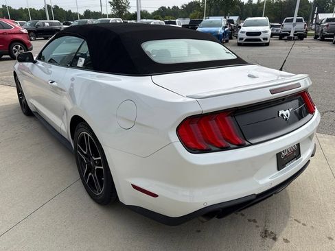 Used 2020 Ford Mustang Premium RWD image 7