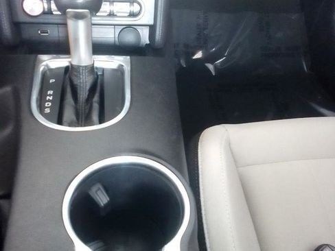 Used 2019 Ford Mustang EcoBoost Coupe w/ Equipment Group 101A image 10