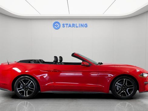 Used 2020 Ford Mustang Premium RWD image 11