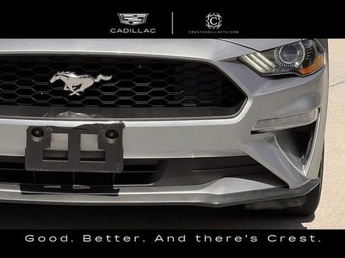 Used 2022 Ford Mustang Premium RWD image 8