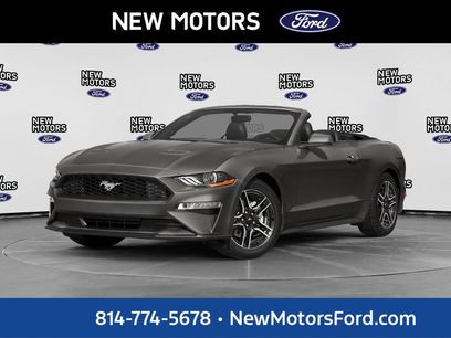 Used 2019 Ford Mustang Premium w/ Equipment Group 201A