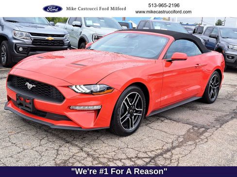 Used 2023 Ford Mustang Premium image 1