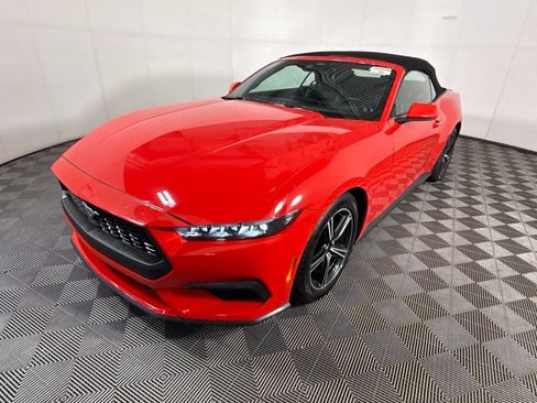 Used 2025 Ford Mustang Premium RWD image 6