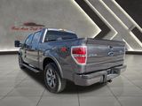 Used 2010 Ford F150 Platinum image 4