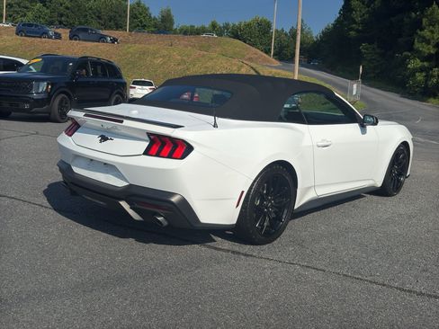 Used 2024 Ford Mustang Convertible w/ Mustang Nite Pony Package RWD image 5