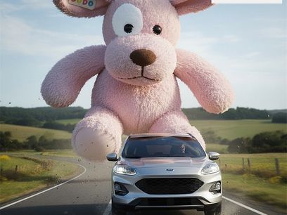 Certified 2022 Ford Escape SE w/ Convenience Package