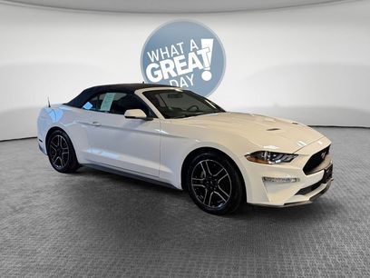 Used 2018 Ford Mustang Premium w/ Equipment Group 201A