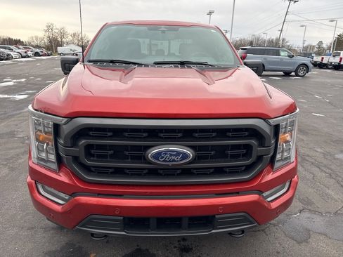 Used 2023 Ford F150 XLT w/ Equipment Group 302A High image 2