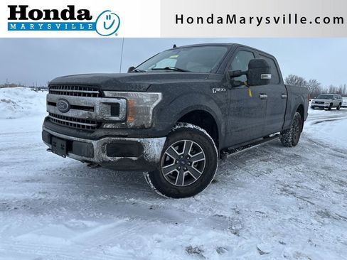 Used 2019 Ford F150 XLT w/ Equipment Group 302A Luxury image 1