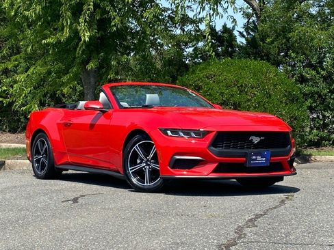 Certified 2024 Ford Mustang Premium RWD image 2