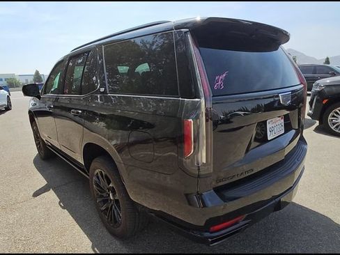 Used 2024 Cadillac Escalade Sport Platinum w/ LPO, ONYX Package AWD/4WD image 5