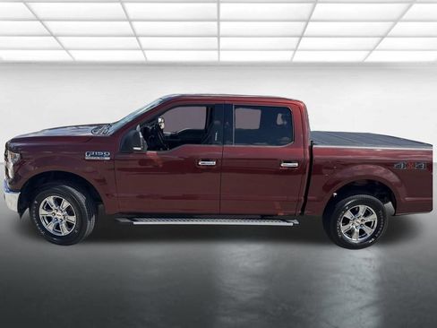 Used 2017 Ford F150 XLT w/ Equipment Group 302A Luxury AWD/4WD image 5