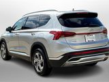 Used 2021 Hyundai Santa Fe SEL w/ Convenience + Premium Package image 4