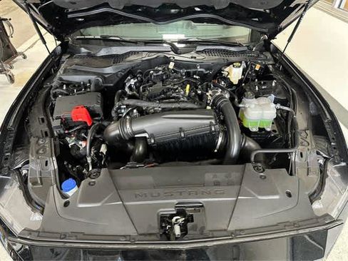 New 2025 Ford Mustang Coupe image 28