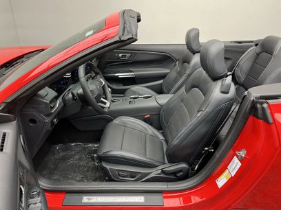 New 2025 Ford Mustang Premium