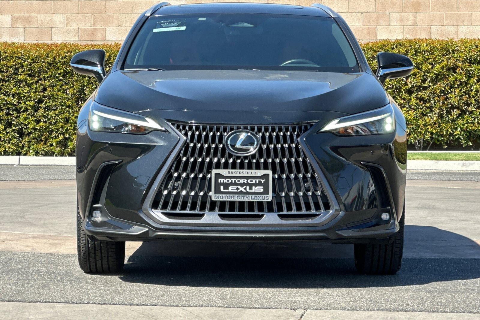 Certified 2025 Lexus NX 350h AWD w/ Cold Area Package image 10