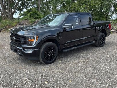 Used 2023 Ford F150 XLT w/ Equipment Group 302A High