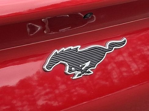 Used 2021 Ford Mustang Mach-E Select w/ Comfort/Appearance Package image 37