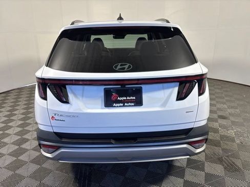 Used 2025 Hyundai Tucson Limited AWD/4WD image 5