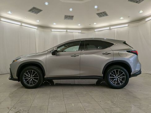 Used 2024 Lexus NX 250 AWD w/ Cold Area Package image 5