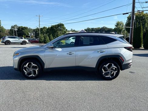 Used 2024 Hyundai Tucson Limited image 4