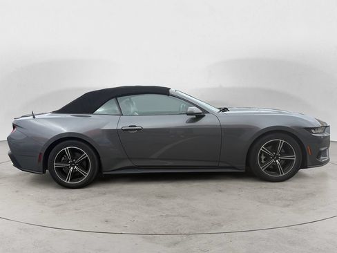 Used 2024 Ford Mustang Premium RWD image 2