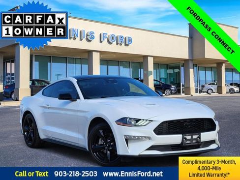 Used 2022 Ford Mustang Coupe w/ Equipment Group 101A image 1