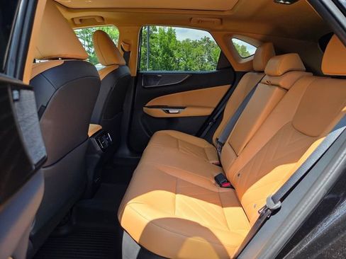 Used 2024 Lexus NX 350h AWD w/ Vision Package image 13