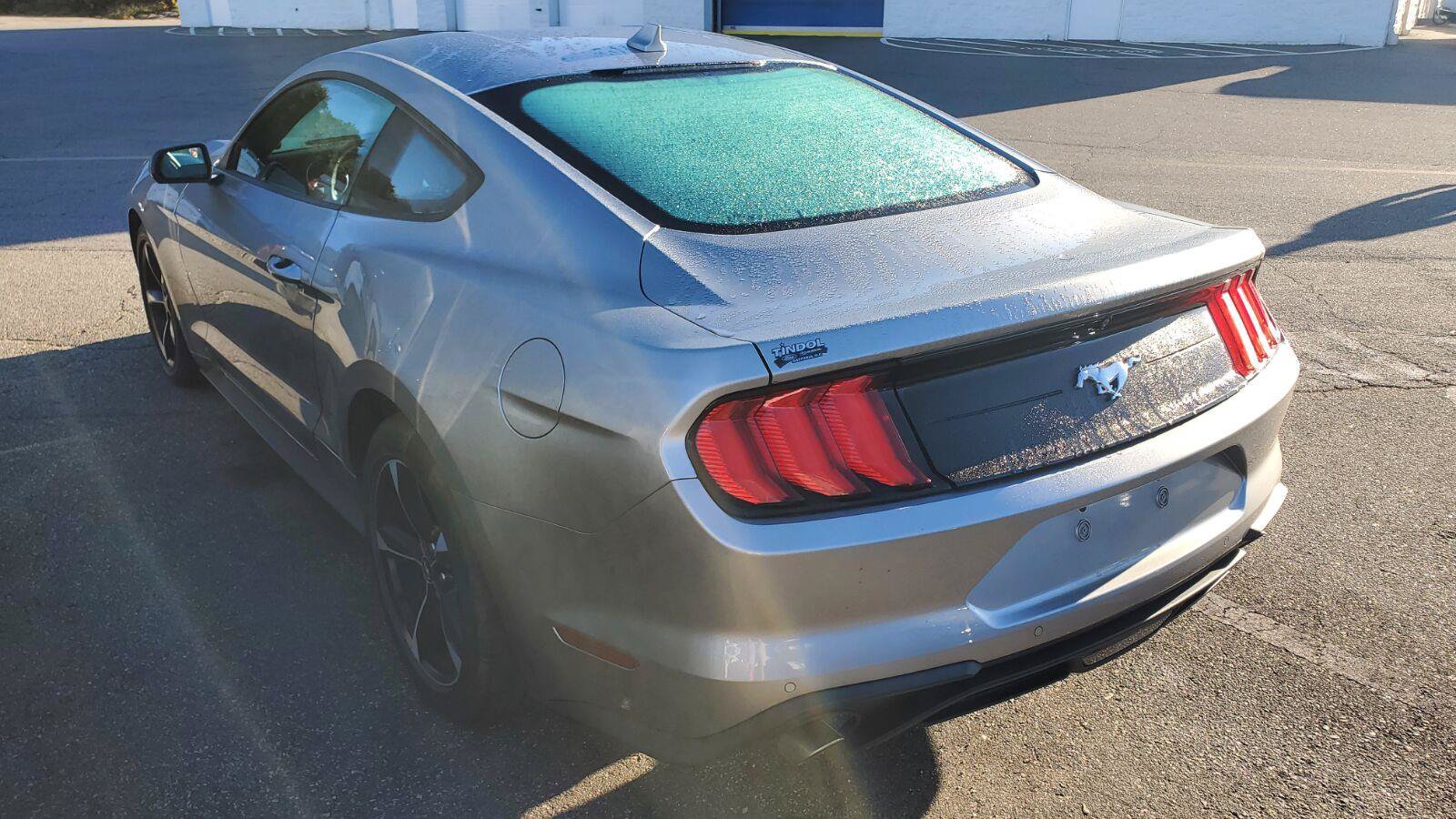 Used 2022 Ford Mustang Coupe w/ Equipment Group 101A RWD image 8