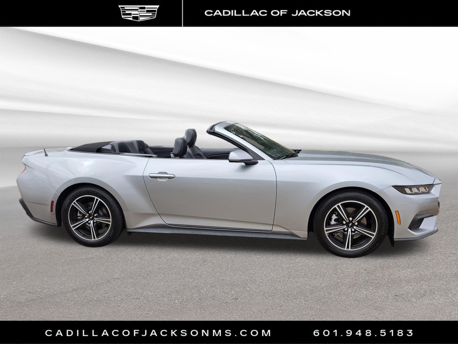 Used 2025 Ford Mustang Premium RWD image 3