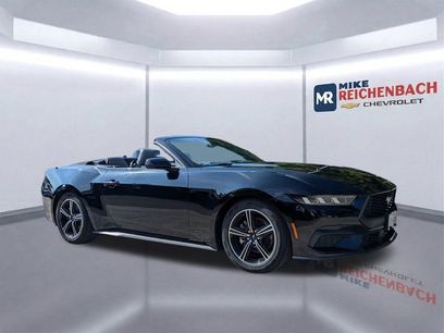Used 2024 Ford Mustang Premium
