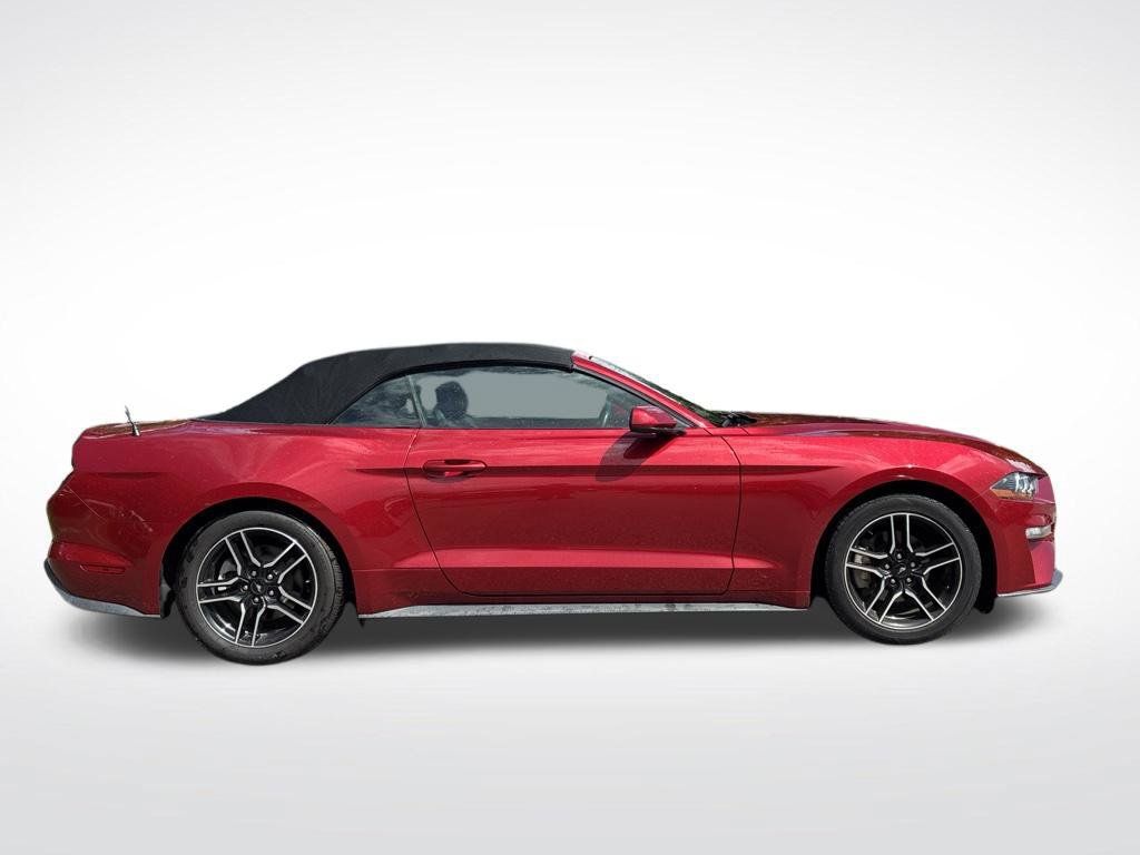 Used 2020 Ford Mustang Convertible w/ Equipment Group 101A RWD image 4