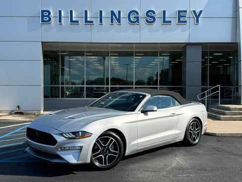Used 2019 Ford Mustang Premium RWD image 2