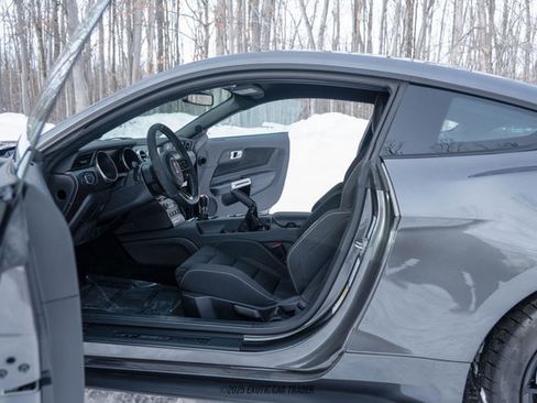 Used 2015 Ford Mustang Shelby GT350 image 42