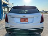 Used 2020 Cadillac XT5 Premium Luxury image 4