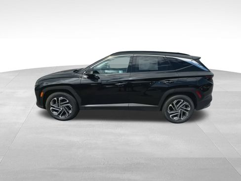 Used 2025 Hyundai Tucson Limited image 5