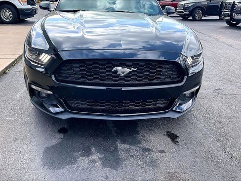 Used 2017 Ford Mustang Coupe image 5