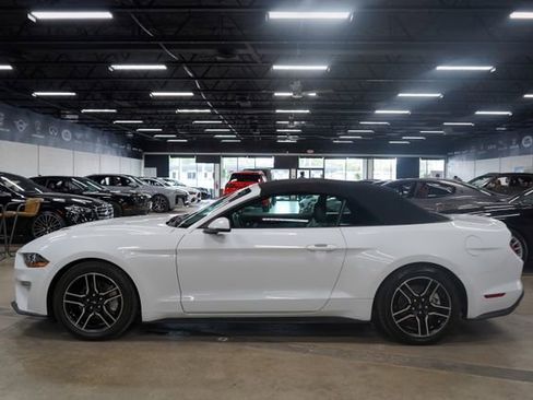 Used 2020 Ford Mustang Premium RWD image 2
