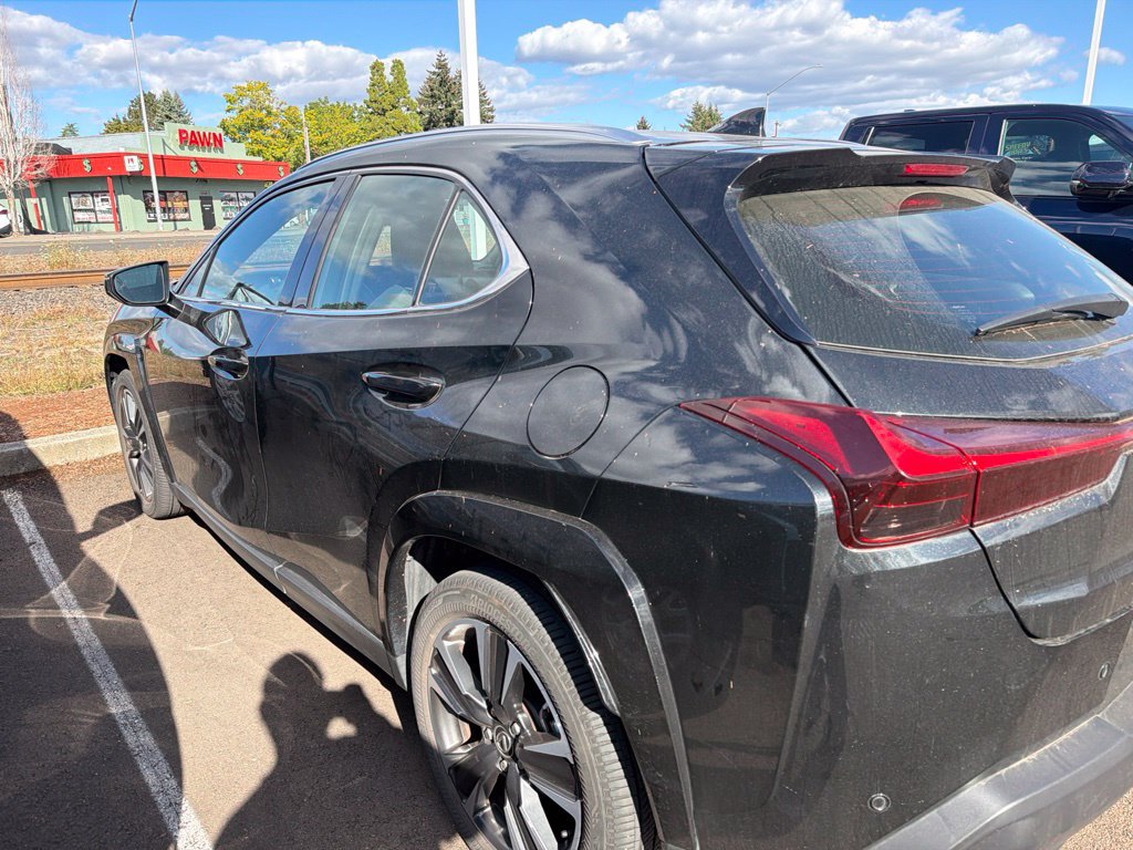 Used 2025 Lexus UX 300h AWD w/ Cold Area Package image 6