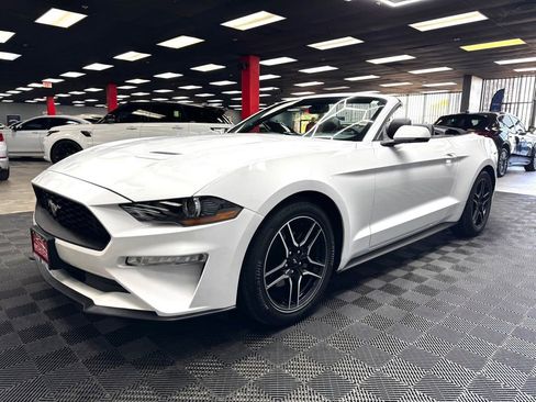 Used 2019 Ford Mustang Premium RWD image 7