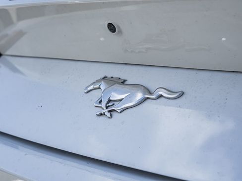 Used 2024 Ford Mustang Premium image 6
