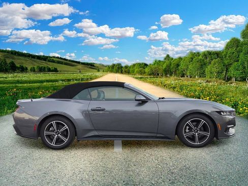 Used 2024 Ford Mustang Premium RWD image 7
