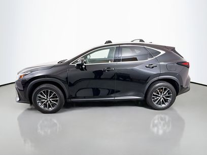 Used 2025 Lexus NX 350h AWD w/ Accessory Package (2T)