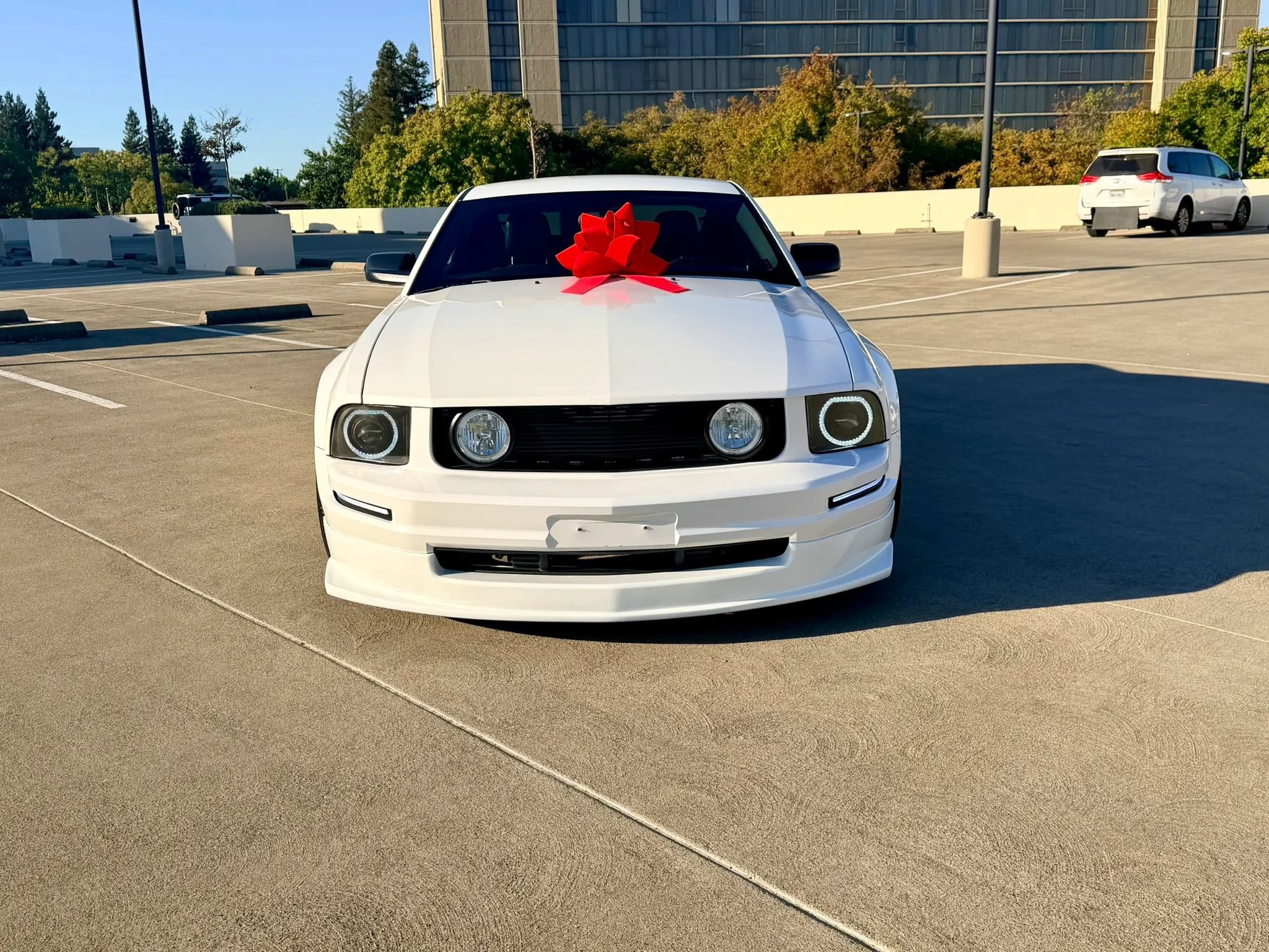 Used 2007 Ford Mustang Premium RWD image 6
