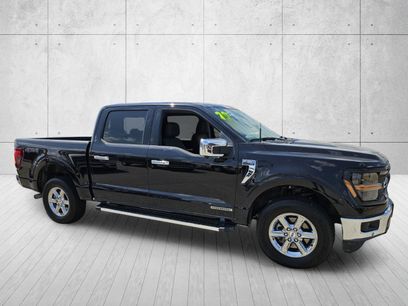 Used 2024 Ford F150 XLT w/ Equipment Group 302A MID