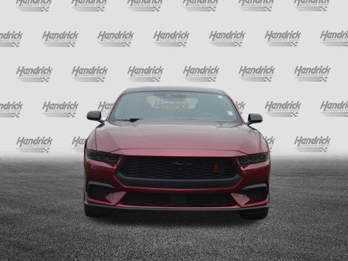 Used 2025 Ford Mustang Coupe w/ Mustang Nite Pony Package image 6