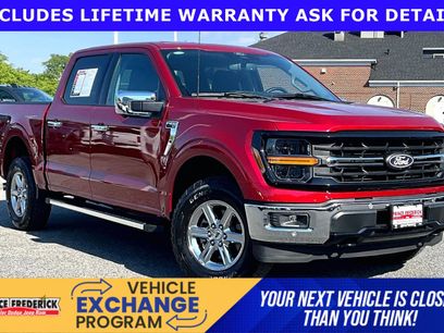 Used 2024 Ford F150 XLT w/ Equipment Group 302A MID