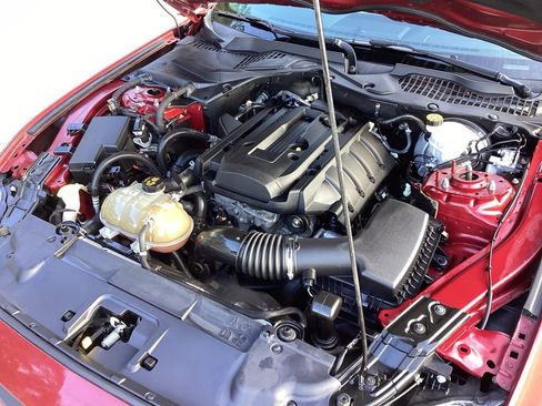 Used 2019 Ford Mustang Premium w/ Enhanced Security Package image 18